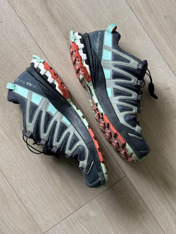 Salomon hiking shoes