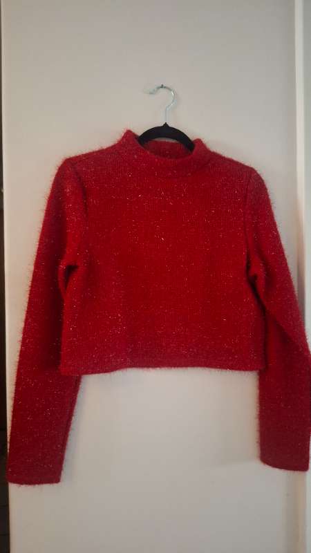 Shinny red sweater