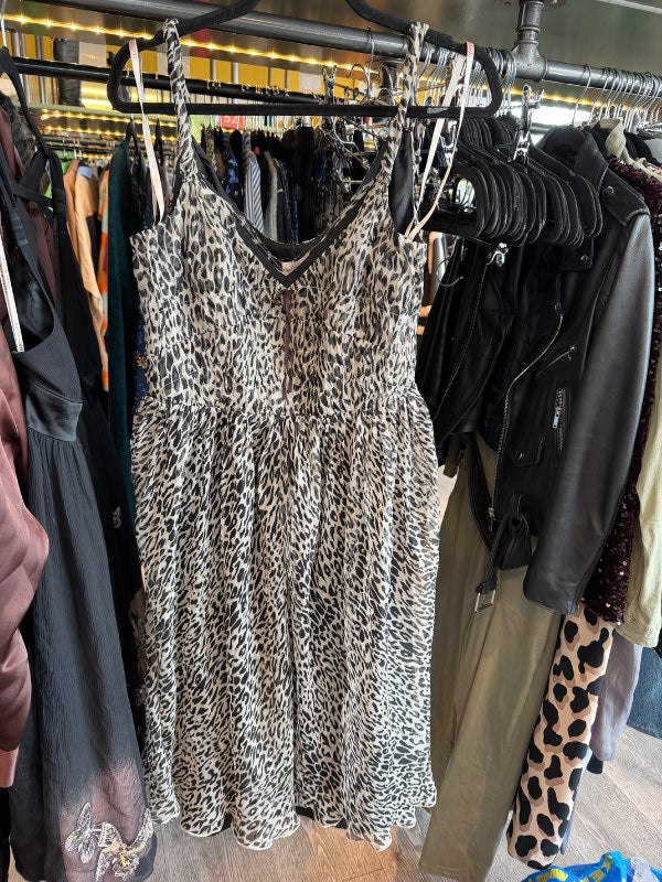 Zebra dress