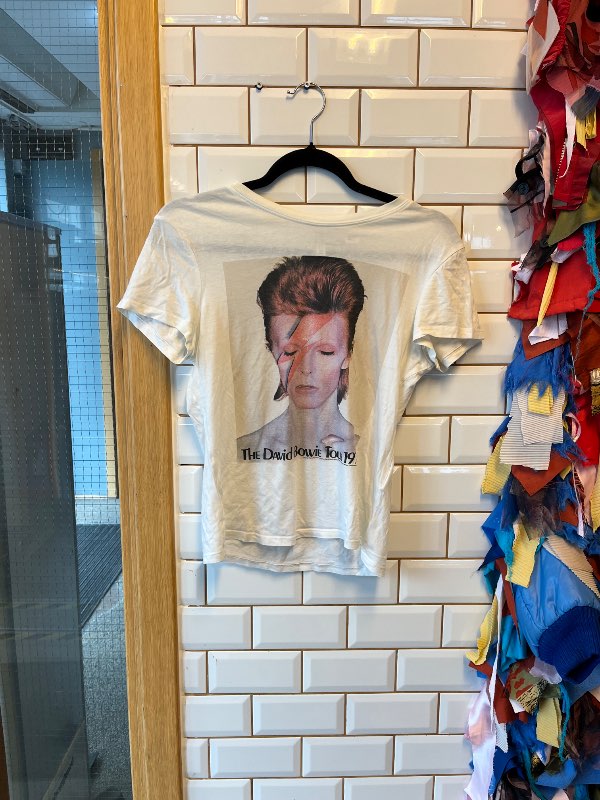 David Bowie bolur