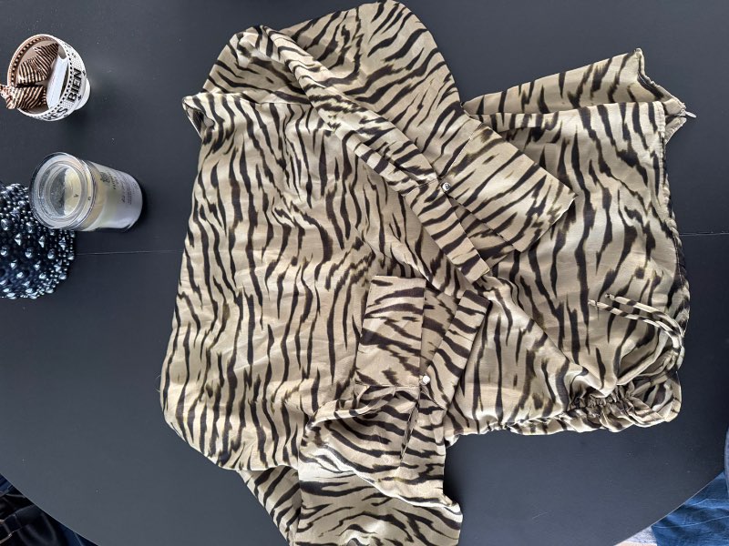 Zara zebra top