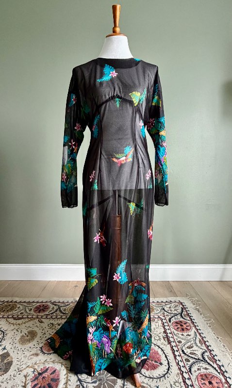 Vintage sheer/mesh síður kjóll