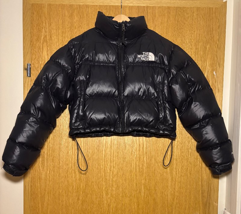 The north face cropped