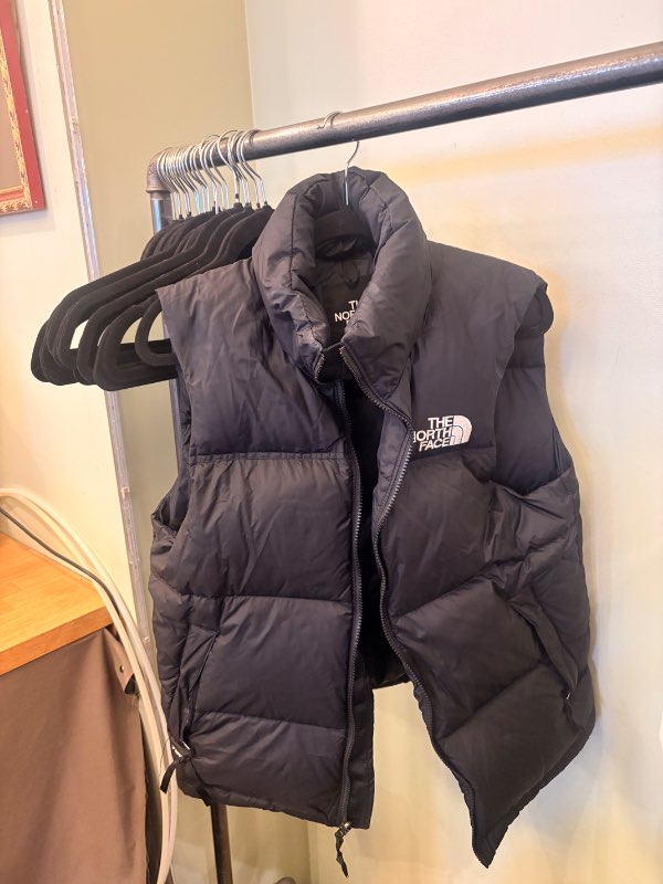 The North face vesti