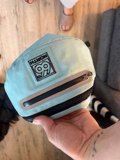 66 pungur