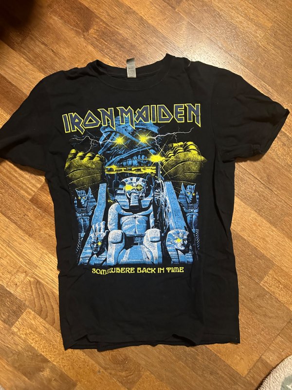 Iron maiden bolur