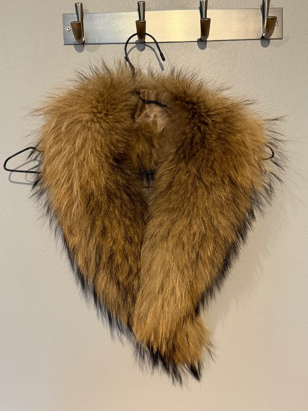 Loðkragi (þvottabjörn)