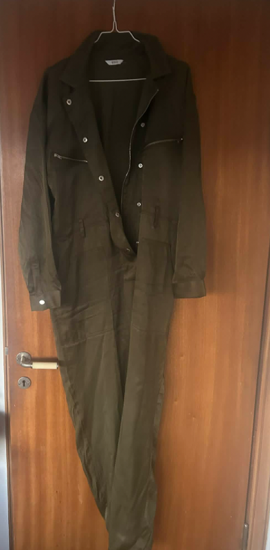 Envii galli