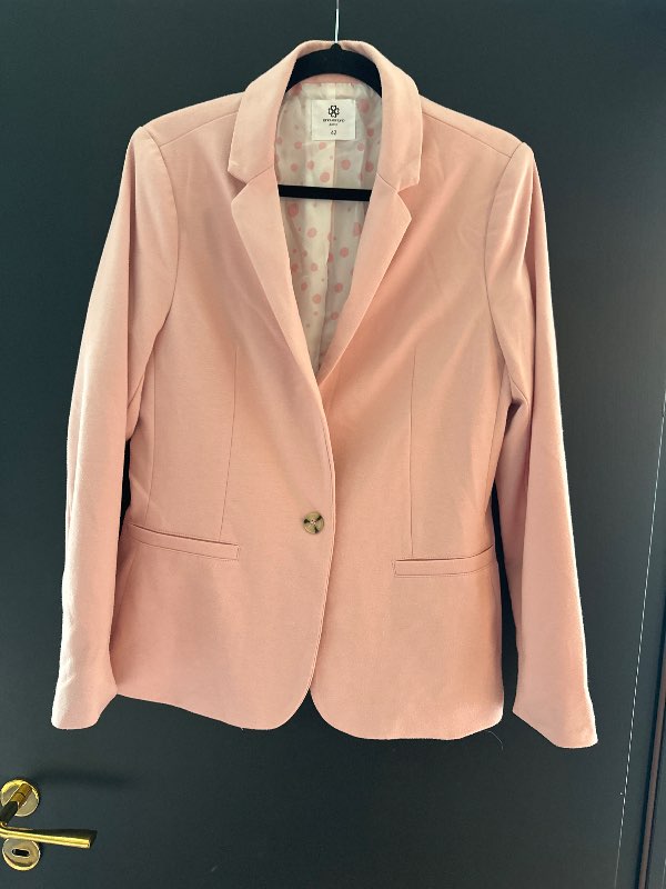 Bleikir blazer