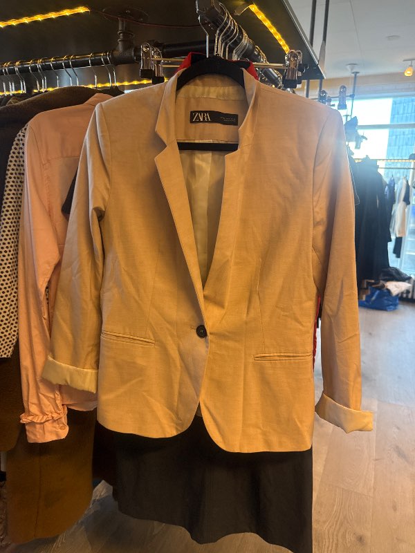 Zara Blazer