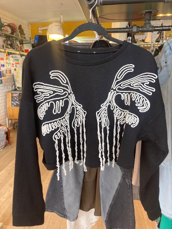 Zara crop sweater